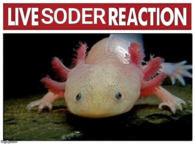 Live reaction | SODER | image tagged in live reaction | made w/ Imgflip meme maker