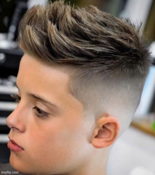 "Yo, bro, gimme the 30 y/o lesbian cut fr" | made w/ Imgflip meme maker