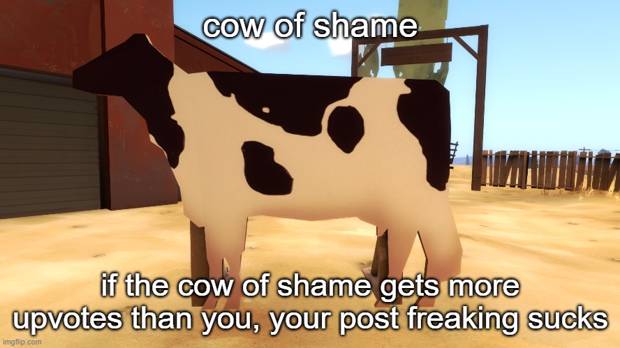 cow of shame | image tagged in cow of shame | made w/ Imgflip meme maker