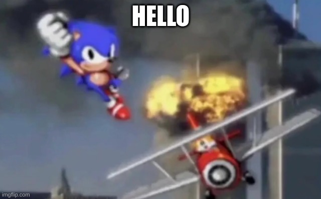 Sonic the Terrorist | HELLO | image tagged in sonic the terrorist | made w/ Imgflip meme maker