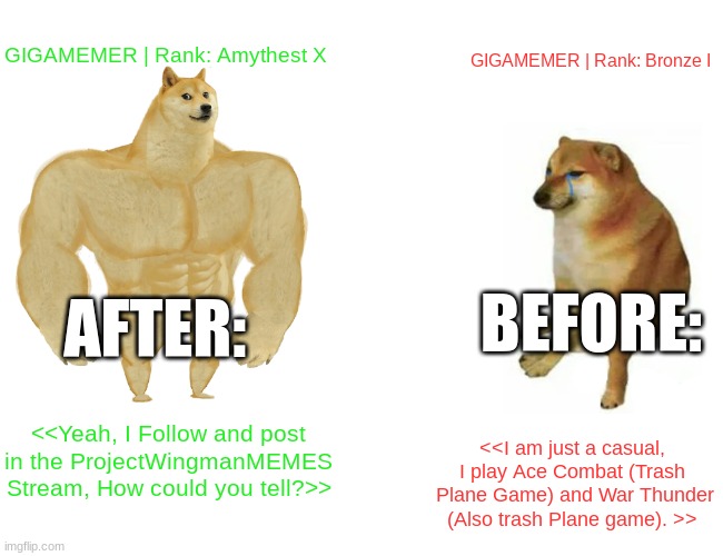 Buff Doge vs. Cheems | GIGAMEMER | Rank: Bronze I; GIGAMEMER | Rank: Amythest X; BEFORE:; AFTER:; <<Yeah, I Follow and post in the ProjectWingmanMEMES Stream, How could you tell?>>; <<I am just a casual, I play Ace Combat (Trash  Plane Game) and War Thunder (Also trash Plane game). >> | image tagged in memes,buff doge vs cheems,join the projectwingmanmemes stream | made w/ Imgflip meme maker