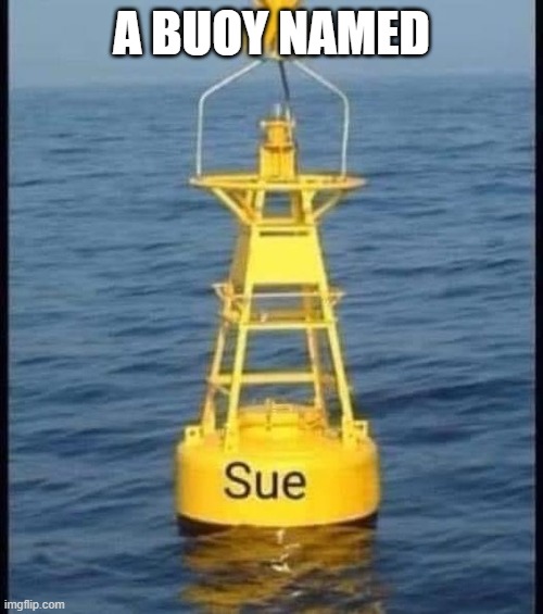 A Buoy Named Sue | A BUOY NAMED | image tagged in johnny cash,sue | made w/ Imgflip meme maker