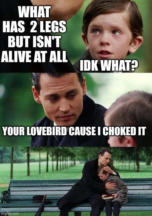 My lovebird d@ed (joke) | WHAT HAS  2 LEGS BUT ISN'T ALIVE AT ALL; IDK WHAT? YOUR LOVEBIRD CAUSE I CHOKED IT | image tagged in memes,finding neverland | made w/ Imgflip meme maker