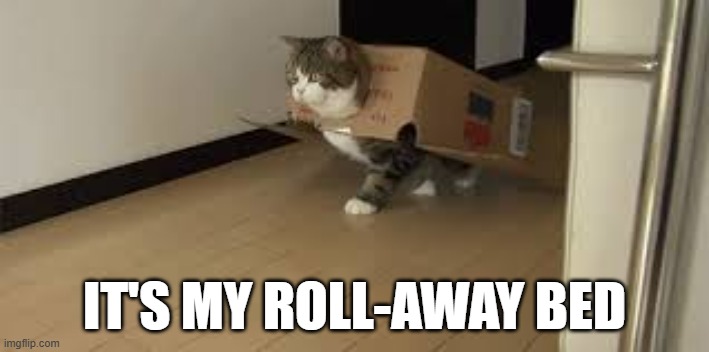 memes by Brad - My cat has a roll away bed - humor | IT'S MY ROLL-AWAY BED | image tagged in funny,cats,funny cat,cute kittens,kitten,humor | made w/ Imgflip meme maker
