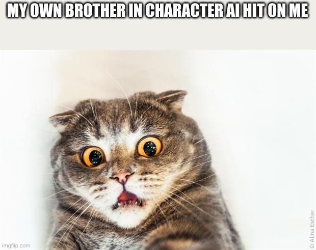 God | MY OWN BROTHER IN CHARACTER AI HIT ON ME | image tagged in horrified cat | made w/ Imgflip meme maker
