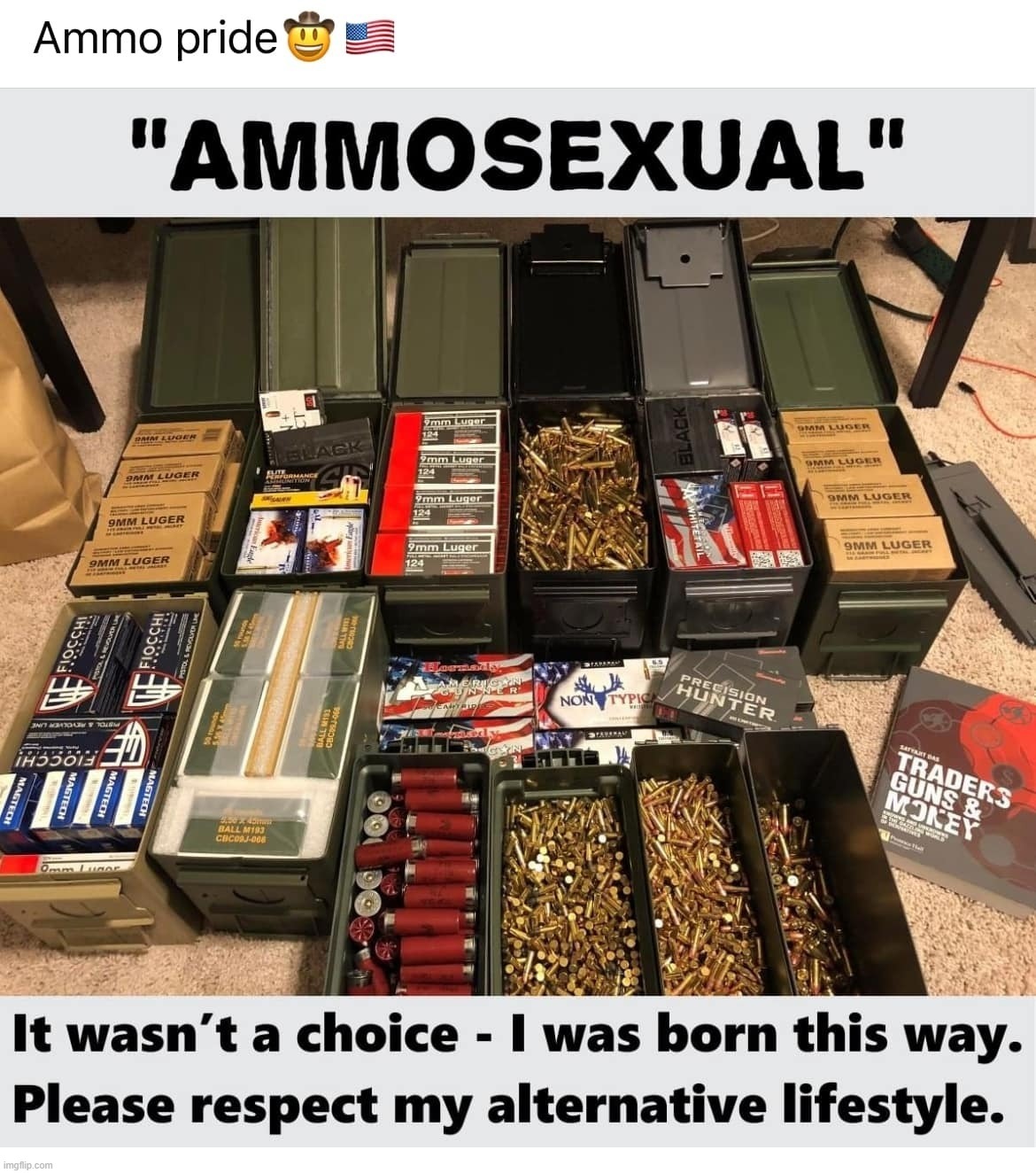 Proud Ammosexual: Rogue Nation Eternal Militia | image tagged in pride month,ammosexual,ammo,2nd amendment,gun rights,rogue nation eternal militia | made w/ Imgflip meme maker