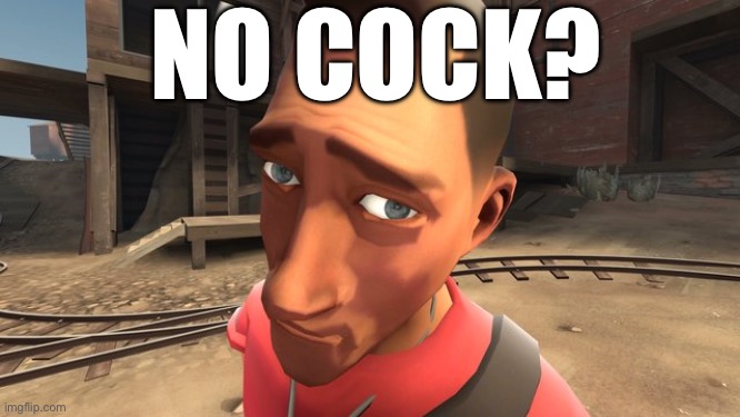 no bitches? | NO COCK? | image tagged in no bitches | made w/ Imgflip meme maker