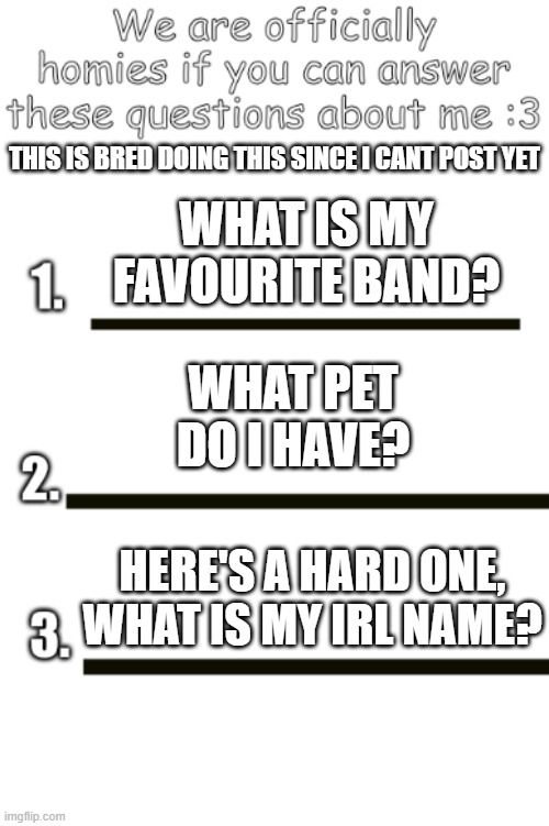 1/3 = friends, 2/3 = homies, 3/3 = besties. If you get the third question, then you are someone I trust a lot - Bred | THIS IS BRED DOING THIS SINCE I CANT POST YET; WHAT IS MY FAVOURITE BAND? WHAT PET DO I HAVE? HERE'S A HARD ONE, WHAT IS MY IRL NAME? | image tagged in all my fellas | made w/ Imgflip meme maker