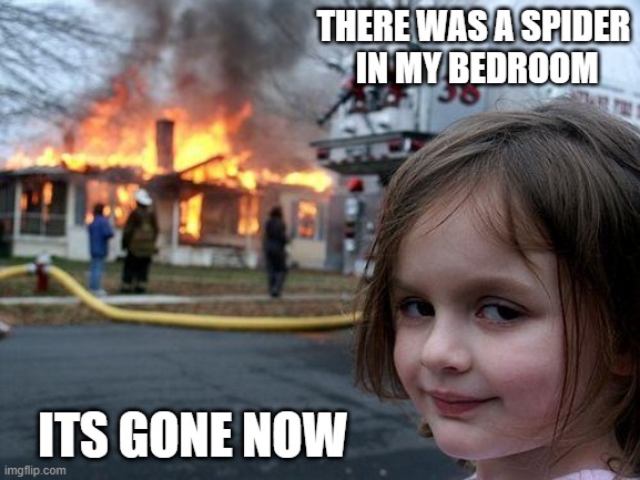 Disaster Girl | THERE WAS A SPIDER
 IN MY BEDROOM; ITS GONE NOW | image tagged in memes,disaster girl | made w/ Imgflip meme maker
