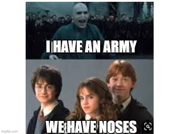 I HAVE AN ARMY; WE HAVE NOSES | image tagged in harry potter | made w/ Imgflip meme maker