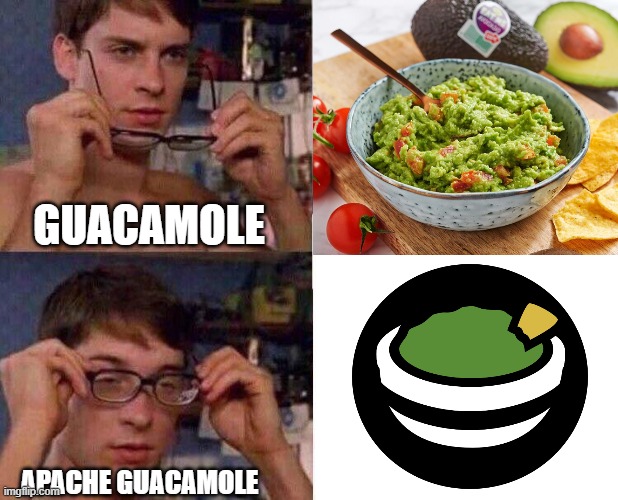 Spiderman Glasses | GUACAMOLE; APACHE GUACAMOLE | image tagged in spiderman glasses | made w/ Imgflip meme maker