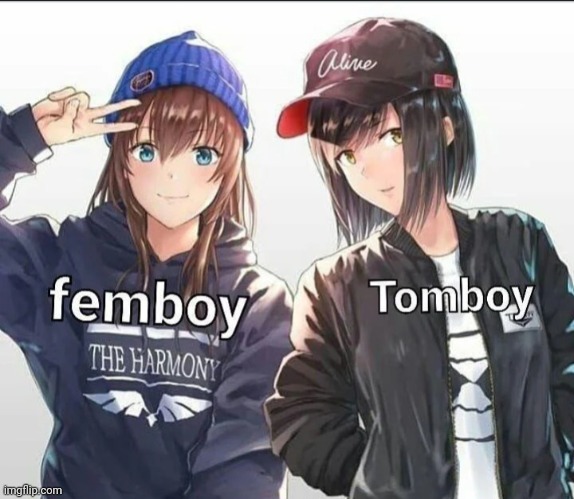 image tagged in femboy,tomboy | made w/ Imgflip meme maker