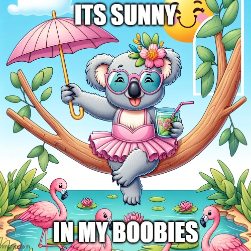sunny | ITS SUNNY; IN MY BOOBIES | image tagged in funny | made w/ Imgflip meme maker