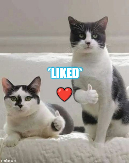 Liked v 2 | ❤️; *LIKED* | image tagged in thumbs up cats | made w/ Imgflip meme maker