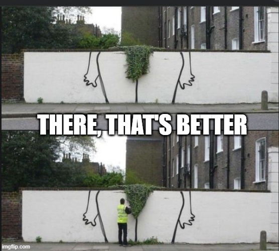 Trim | THERE, THAT'S BETTER | image tagged in adult humor | made w/ Imgflip meme maker