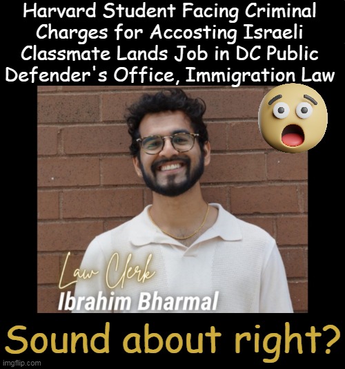 You Can't Make This Stuff Up!! | Harvard Student Facing Criminal 
Charges for Accosting Israeli 
Classmate Lands Job in DC Public 
Defender's Office, Immigration Law; Sound about right? | image tagged in liberals vs conservatives,harvard,sjw,crime,dark humor,political humor | made w/ Imgflip meme maker