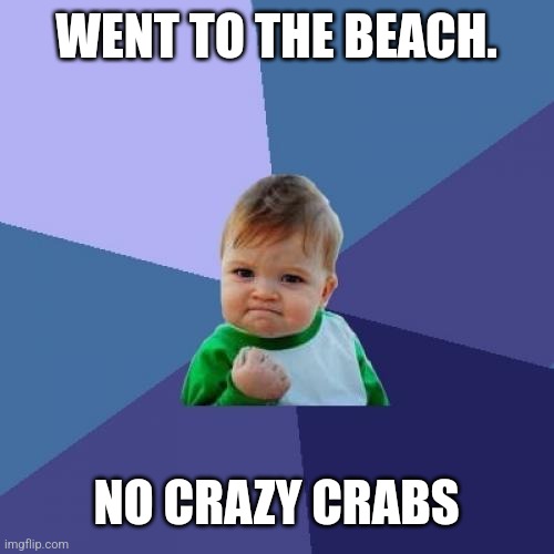 When they pinch you, they don't let go | WENT TO THE BEACH. NO CRAZY CRABS | image tagged in memes,success kid | made w/ Imgflip meme maker