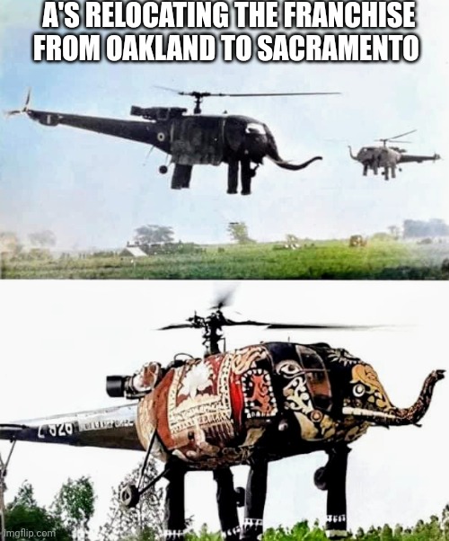 Bye Oakland.. Hellooo Sacramentooo | A'S RELOCATING THE FRANCHISE FROM OAKLAND TO SACRAMENTO | image tagged in elephant chopper,sacramento,oakland,politics,baseball,a's | made w/ Imgflip meme maker