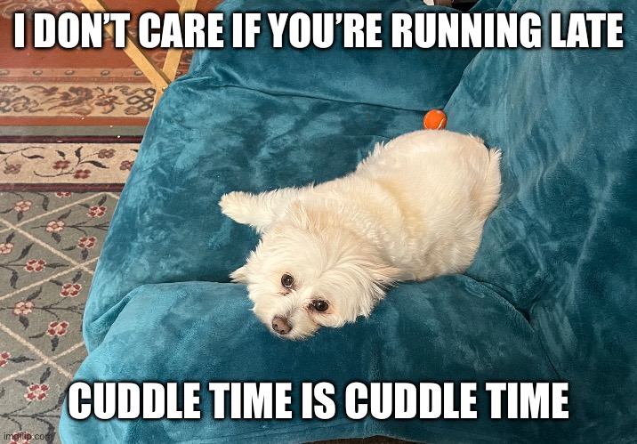 Cuddle time | I DON’T CARE IF YOU’RE RUNNING LATE; CUDDLE TIME IS CUDDLE TIME | image tagged in dogs,cuddle | made w/ Imgflip meme maker