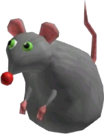 cheese rat Meme Template