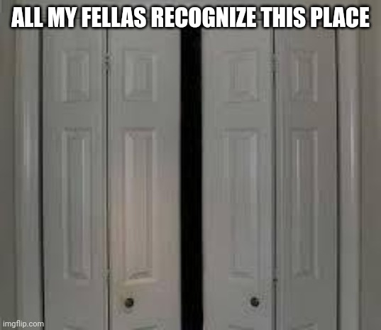 yes | ALL MY FELLAS RECOGNIZE THIS PLACE | image tagged in closet | made w/ Imgflip meme maker