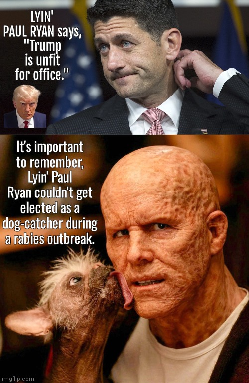 Lyin' Paul Ryan VS Deadpool | LYIN' PAUL RYAN says,
"Trump is unfit for office."; It's important to remember, Lyin' Paul Ryan couldn't get elected as a dog-catcher during a rabies outbreak. | image tagged in paul ryan,deadpool,liar | made w/ Imgflip meme maker