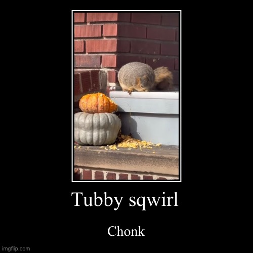 His name is dave | Tubby sqwirl | Chonk | image tagged in funny,demotivationals,dave | made w/ Imgflip demotivational maker