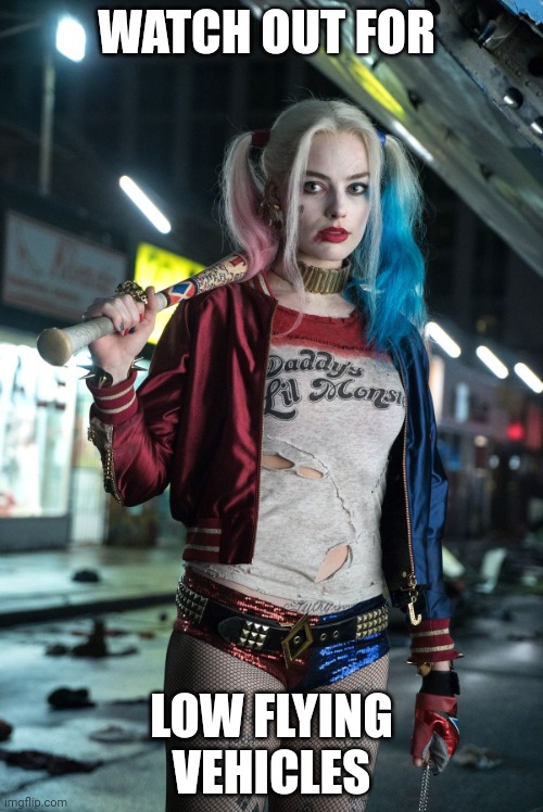 Harley Quinn | WATCH OUT FOR; LOW FLYING VEHICLES | image tagged in harley quinn | made w/ Imgflip meme maker