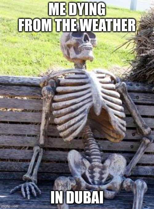 Waiting Skeleton | ME DYING FROM THE WEATHER; IN DUBAI | image tagged in memes,waiting skeleton | made w/ Imgflip meme maker