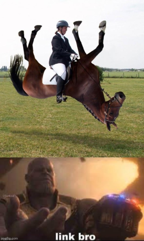 image tagged in horse upside down,link bro | made w/ Imgflip meme maker