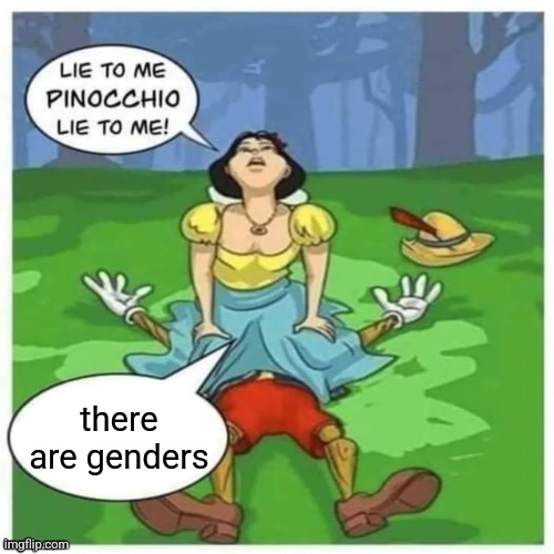 Lie to me Pinocchio | there are genders | image tagged in lie to me pinocchio | made w/ Imgflip meme maker