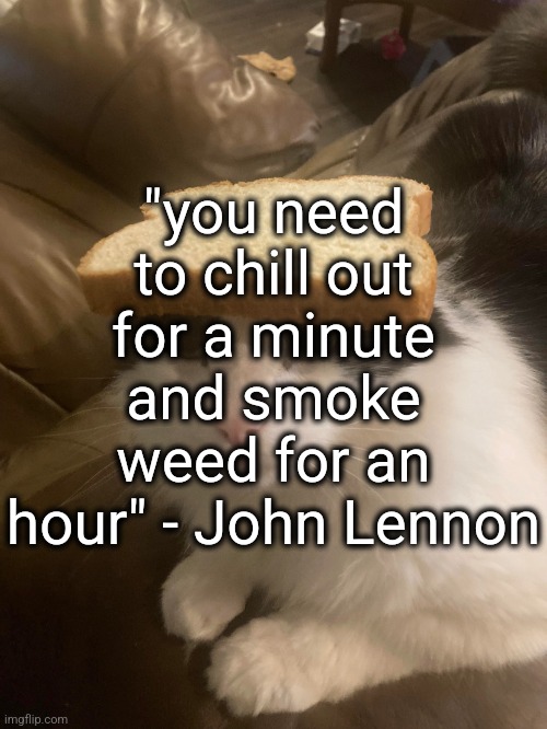 h | "you need to chill out for a minute and smoke weed for an hour" - John Lennon | image tagged in bread cat | made w/ Imgflip meme maker