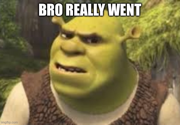 BRO REALLY WENT | image tagged in confused shrek | made w/ Imgflip meme maker