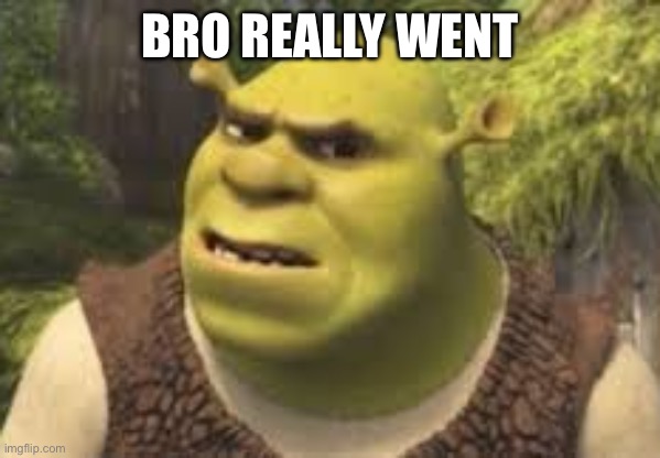 Confused shrek | BRO REALLY WENT | image tagged in confused shrek | made w/ Imgflip meme maker