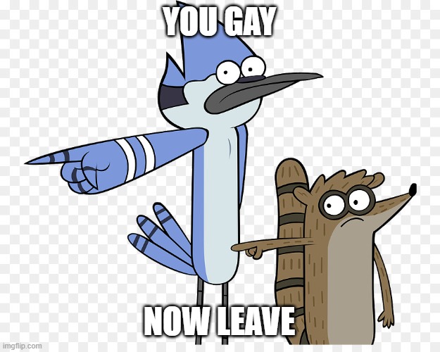when | YOU GAY; NOW LEAVE | image tagged in mordecai and rigby pointing | made w/ Imgflip meme maker