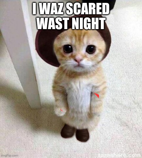 Cute Cat | I WAZ SCARED WAST NIGHT | image tagged in cute cat | made w/ Imgflip meme maker