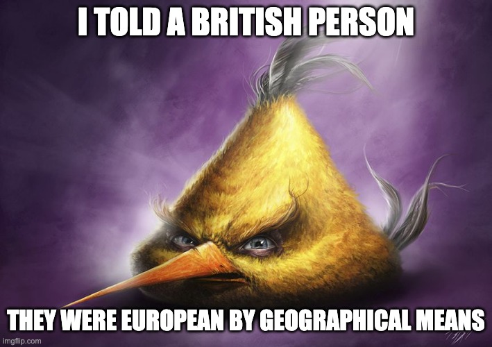 Hyperrealistic Chuck | I TOLD A BRITISH PERSON; THEY WERE EUROPEAN BY GEOGRAPHICAL MEANS | image tagged in hyperrealistic chuck | made w/ Imgflip meme maker