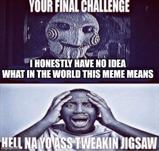 your final challenge | I HONESTLY HAVE NO IDEA WHAT IN THE WORLD THIS MEME MEANS | image tagged in your final challenge | made w/ Imgflip meme maker