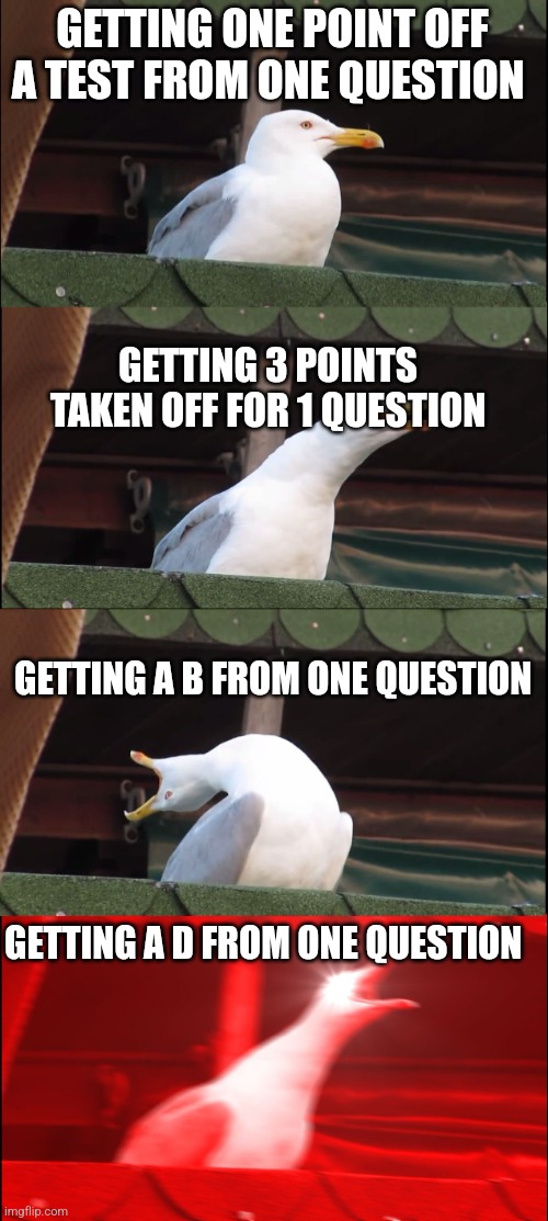 Points off test | GETTING ONE POINT OFF A TEST FROM ONE QUESTION; GETTING 3 POINTS TAKEN OFF FOR 1 QUESTION; GETTING A B FROM ONE QUESTION; GETTING A D FROM ONE QUESTION | image tagged in memes,inhaling seagull,relatable memes | made w/ Imgflip meme maker