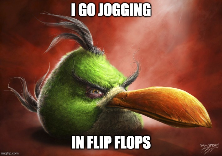 Realistic Angry Bird | I GO JOGGING; IN FLIP FLOPS | image tagged in realistic angry bird | made w/ Imgflip meme maker