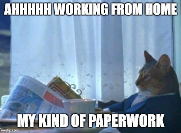 Working from home | AHHHHH WORKING FROM HOME; MY KIND OF PAPERWORK | image tagged in cat newspaper | made w/ Imgflip meme maker