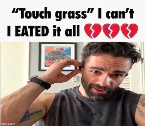 I can’t I eated it all | image tagged in alejandro cod touch grass | made w/ Imgflip meme maker