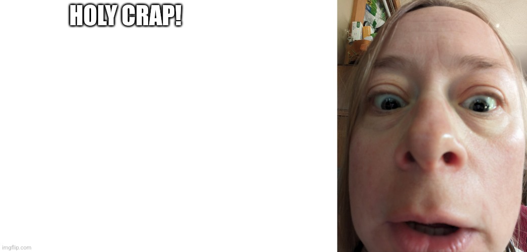 Holy crap | HOLY CRAP! DID YOU SEE THE SIZE OF THOSE THINGS?? | image tagged in shocked face,dilated pupils,big eyes,surprised | made w/ Imgflip meme maker