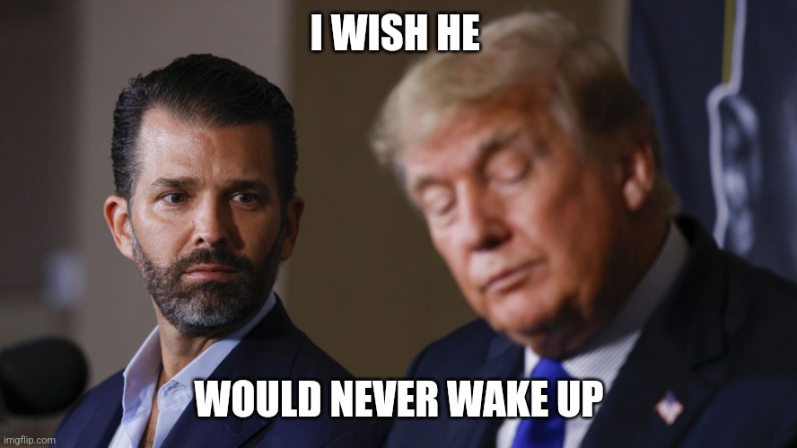 Sleepy don | I WISH HE; WOULD NEVER WAKE UP | image tagged in trump and son | made w/ Imgflip meme maker