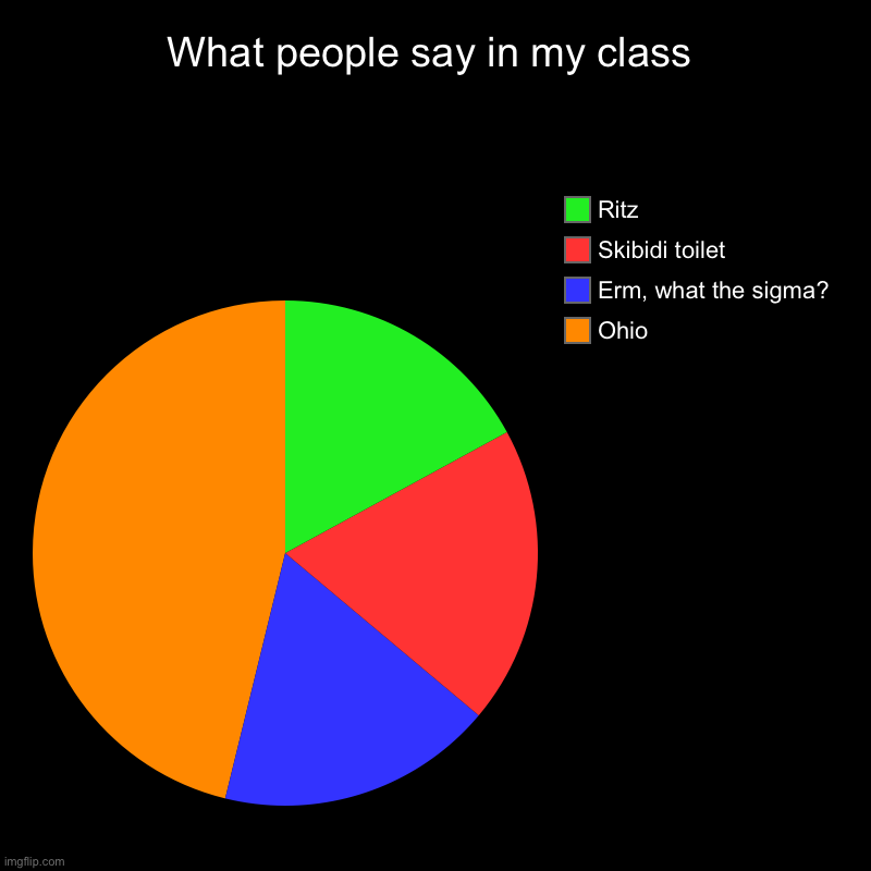 Majority of what is said in my class | What people say in my class | Ohio, Erm, what the sigma?, Skibidi toilet, Ritz | image tagged in charts,pie charts | made w/ Imgflip chart maker