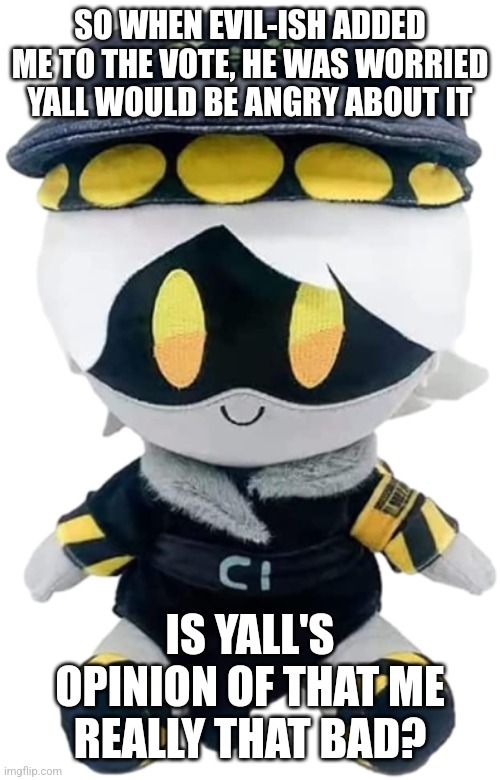 Honestly I can understand why | SO WHEN EVIL-ISH ADDED ME TO THE VOTE, HE WAS WORRIED YALL WOULD BE ANGRY ABOUT IT; IS YALL'S OPINION OF THAT ME REALLY THAT BAD? | image tagged in n plushie | made w/ Imgflip meme maker