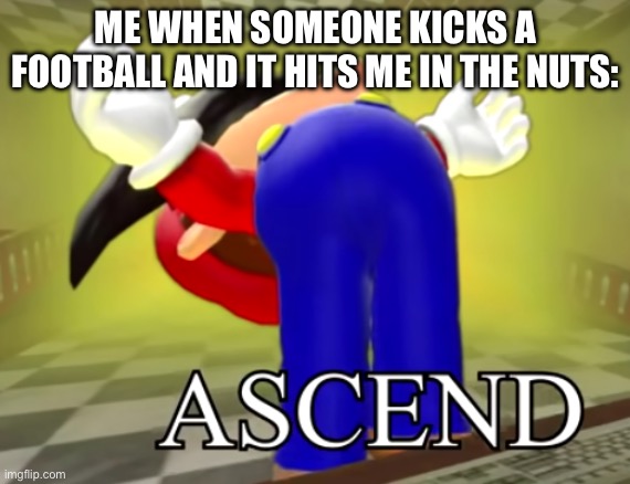 ouch | ME WHEN SOMEONE KICKS A FOOTBALL AND IT HITS ME IN THE NUTS: | image tagged in smg4 mario ascends | made w/ Imgflip meme maker