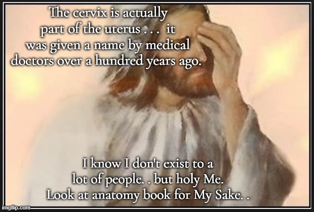 Face palm jesus | The cervix is actually part of the uterus . . .  it was given a name by medical doctors over a hundred years ago. I know I don't exist to a  | image tagged in face palm jesus | made w/ Imgflip meme maker