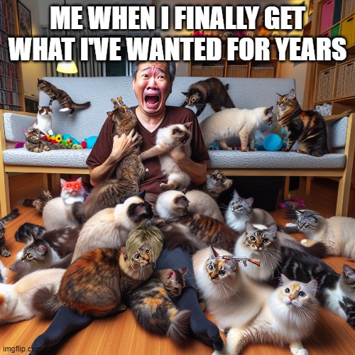 helpppppp!!!!! | ME WHEN I FINALLY GET WHAT I'VE WANTED FOR YEARS | image tagged in cats | made w/ Imgflip meme maker