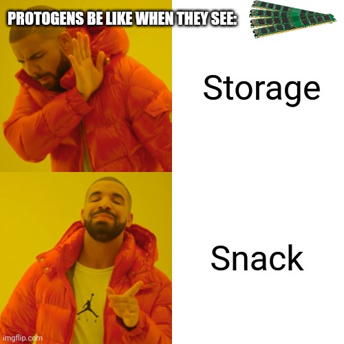 Proots be like (can't post it in "furries stream" unfortunately) | PROTOGENS BE LIKE WHEN THEY SEE:; Storage; Snack | image tagged in memes,drake hotline bling | made w/ Imgflip meme maker